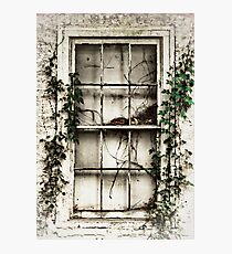 Desolate Photographic Print