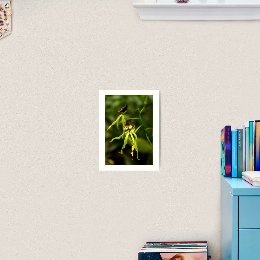Item preview, Art Print designed and sold by steppeland.