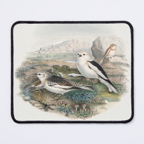Item preview, White Sea Birds Nesting designed and sold by tomorrowsart.