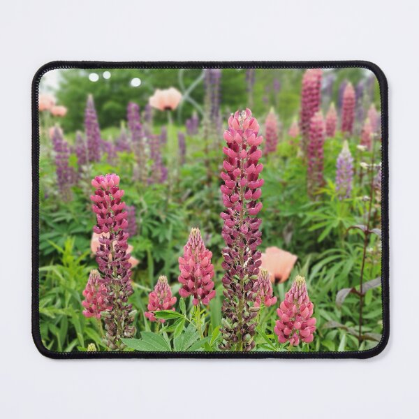 Item preview, Lupine and Poppies designed and sold by SusanSeamaiden.