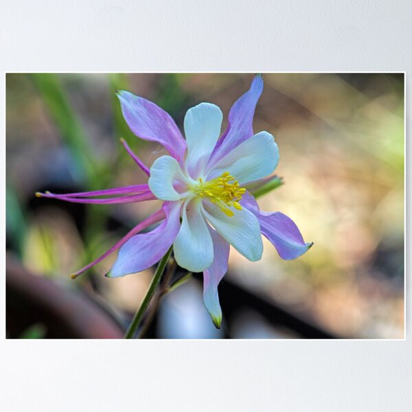 Item preview, Nature's Handiwork designed and sold by alanathrower.