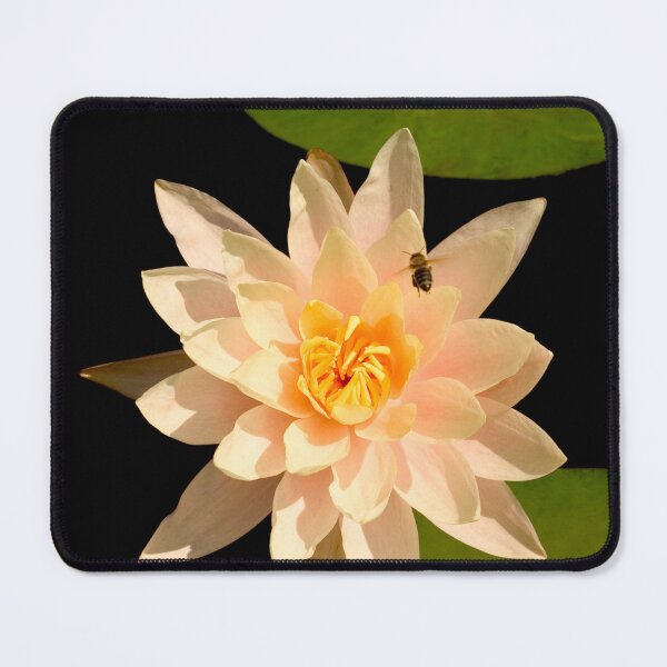 Item preview, Lily and The Bee designed and sold by ColemanSellers.