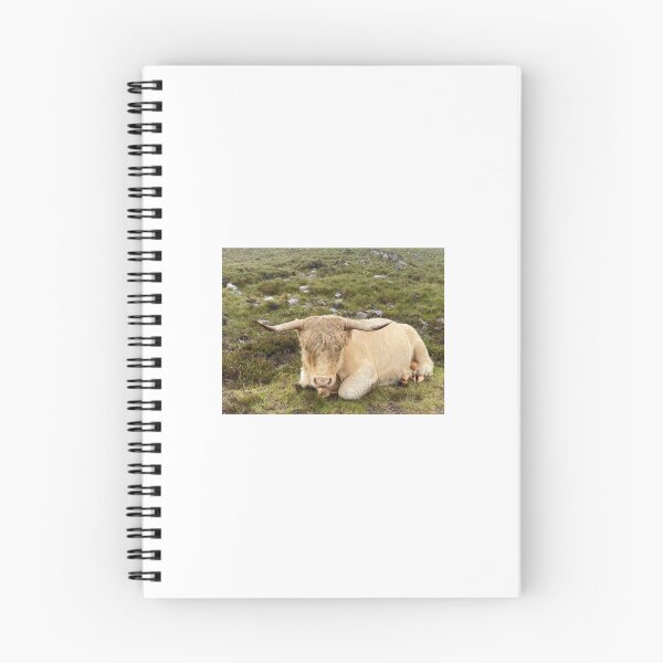 Item preview, Soaked Highland Cow designed and sold by PandFGalleries.