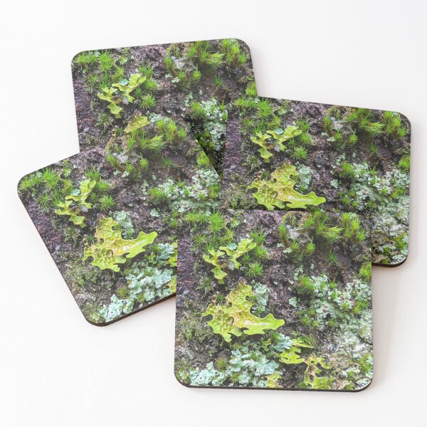 Item preview, Nature's garden designed and sold by Meaghan Wanders photography.