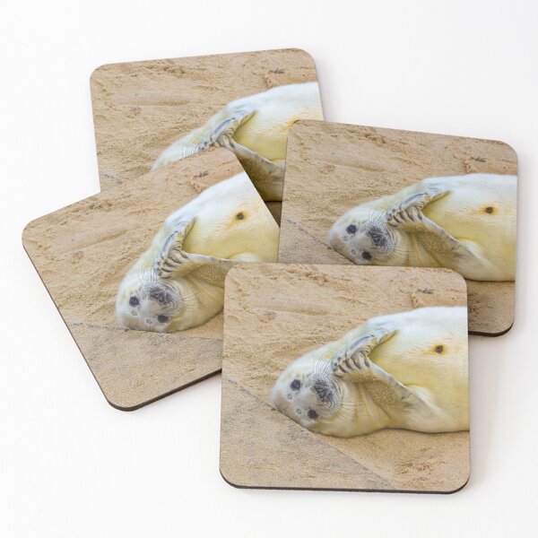 Item preview, Rubbing my hands with joy - Seals at Horsey designed and sold by stuyclarkey.