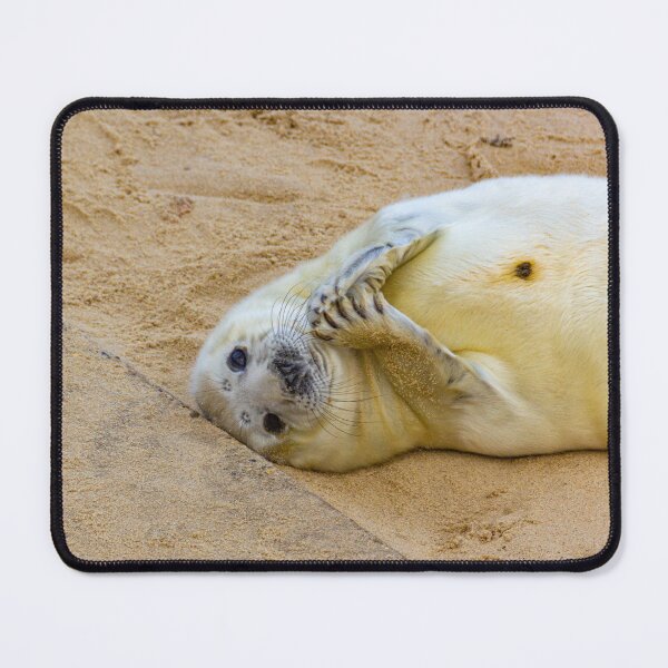 Item preview, Rubbing my hands with joy - Seals at Horsey designed and sold by stuyclarkey.