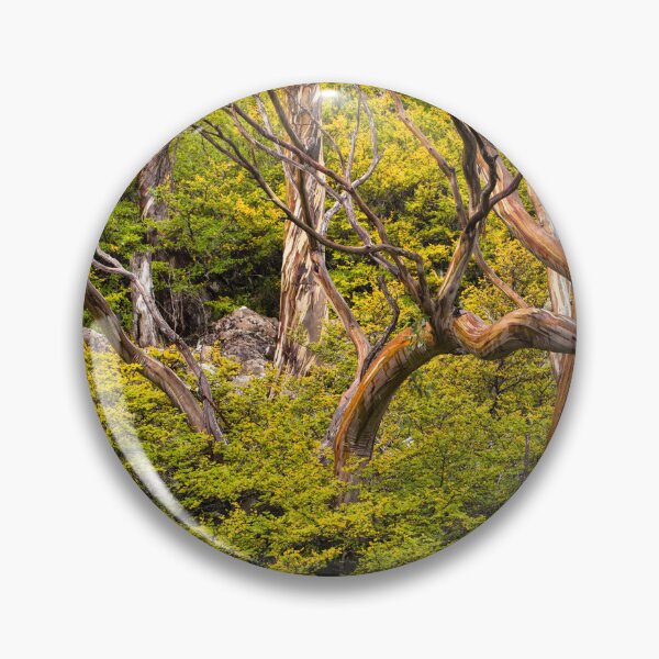 Item preview, Alpine Gums with Fagus designed and sold by Esther Frieda.