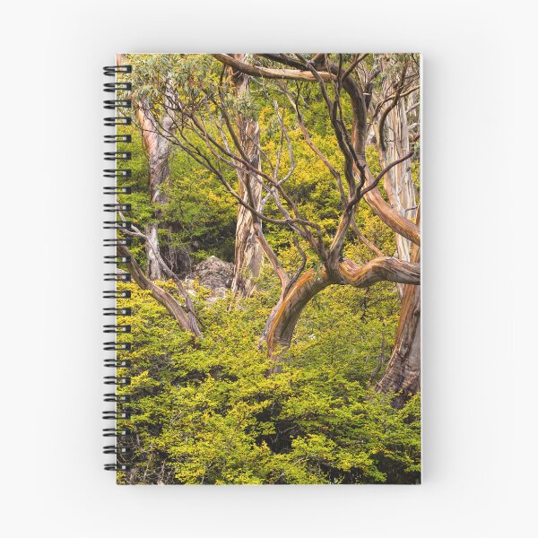 Item preview, Alpine Gums with Fagus designed and sold by Esther Frieda.
