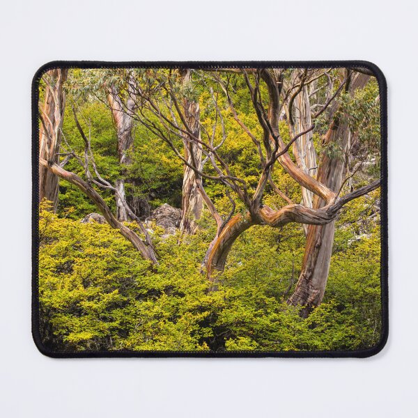 Item preview, Alpine Gums with Fagus designed and sold by Esther Frieda.