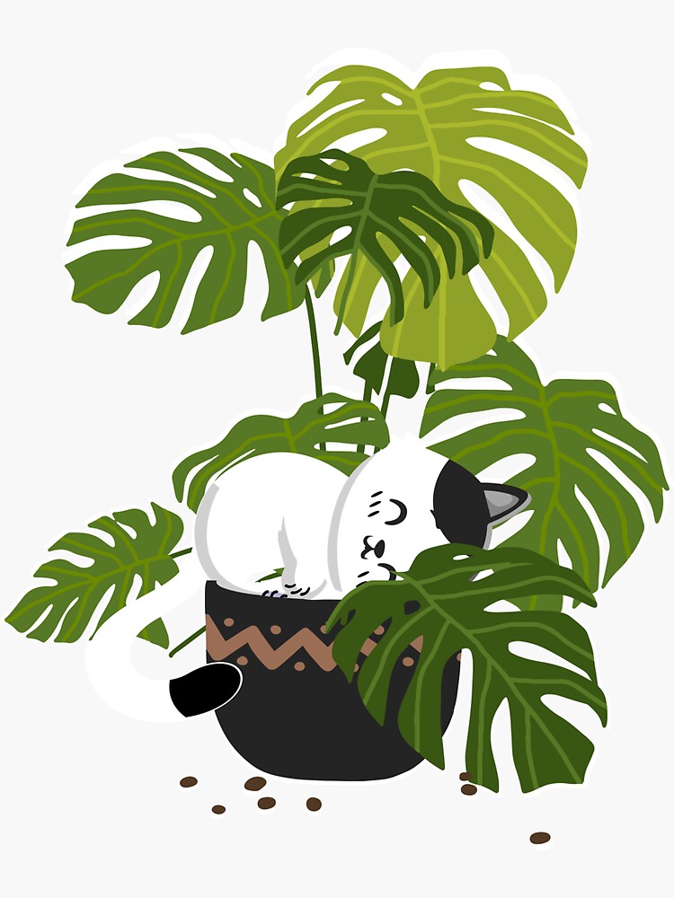 "Monstera And Cat" Sticker for Sale by jbshirt Redbubble