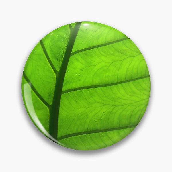 Item preview, Green Leaf Curve designed and sold by Esther Frieda.