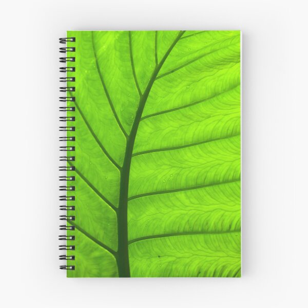 Item preview, Green Leaf Curve designed and sold by Esther Frieda.