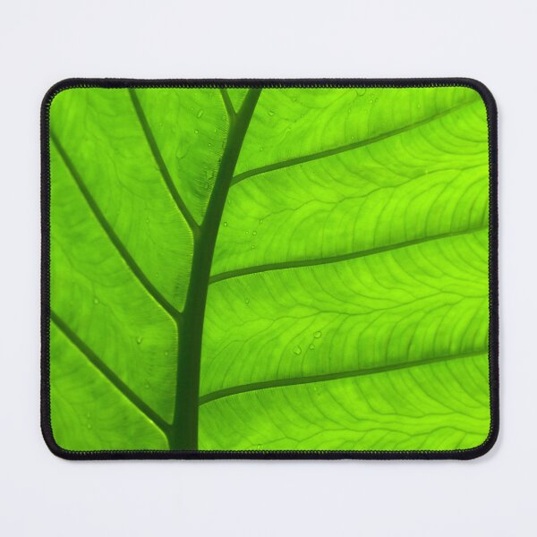Item preview, Green Leaf Curve designed and sold by Esther Frieda.