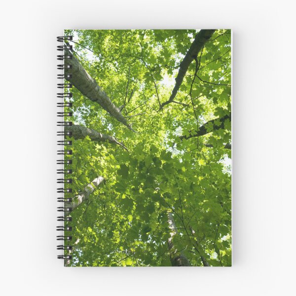 Item preview, looking upwards through the trees designed and sold by Skye Hohmann.