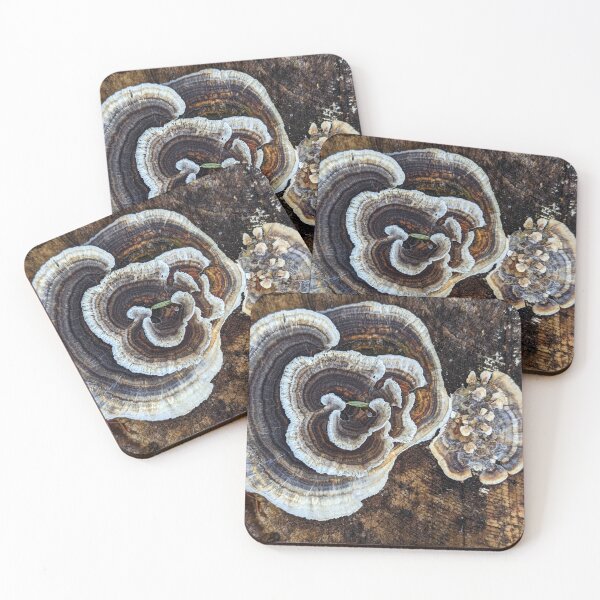 Item preview, A tale of two turkey tails designed and sold by Meaghan Wanders photography.