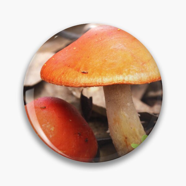 Item preview, Orange Top Mushrooms designed and sold by Esther Frieda.