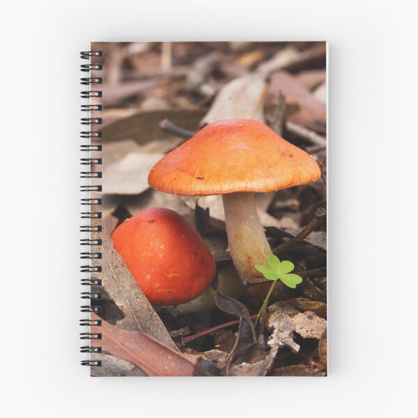 Item preview, Orange Top Mushrooms designed and sold by Esther Frieda.
