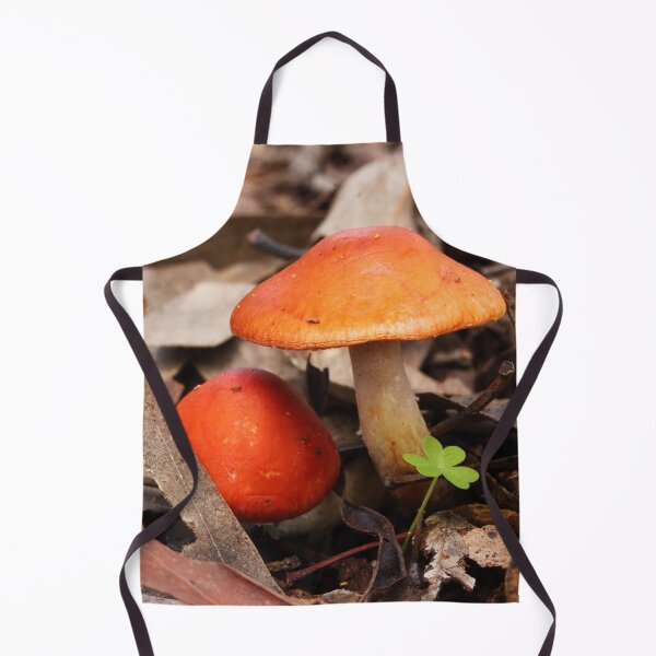 Item preview, Orange Top Mushrooms designed and sold by Esther Frieda.