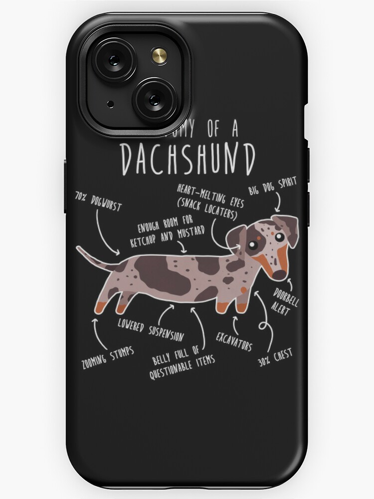  iPhone X/XS Dachshund Weightlifting Funny Deadlift Men Fitness  Gym Gifts Case : Cell Phones & Accessories