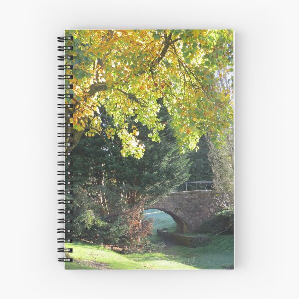 Item preview, Late Autumn in Callendar Park designed and sold by LynneBlair.