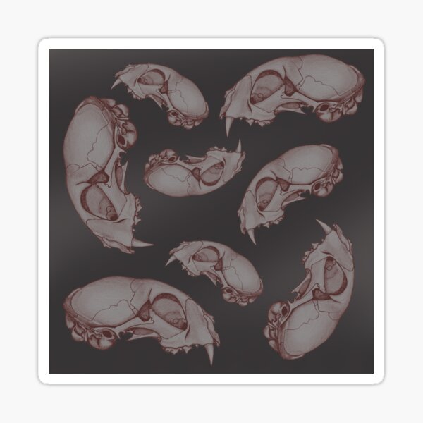 cat skull multi Sticker