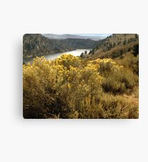 Colorful Colorado Canyon Brush Canvas Print