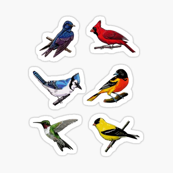 Artikel-Vorschau von Regenbogen-Vogel-Aufkleber, designt und verkauft von Savannah Hoskinson.