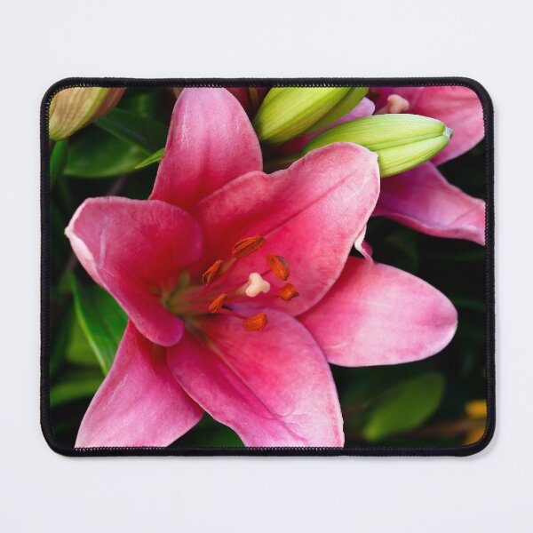 Item preview, pink with Buds designed and sold by Esther Frieda.