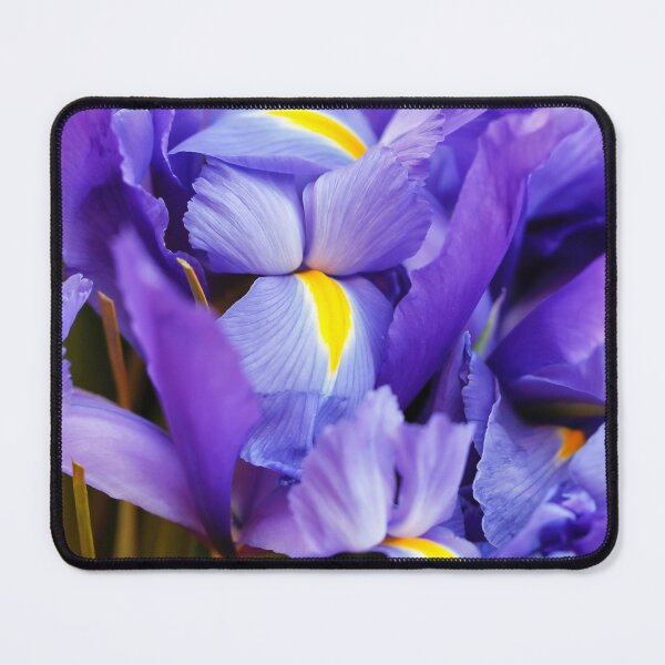 Item preview, Iris Dance designed and sold by Esther Frieda.