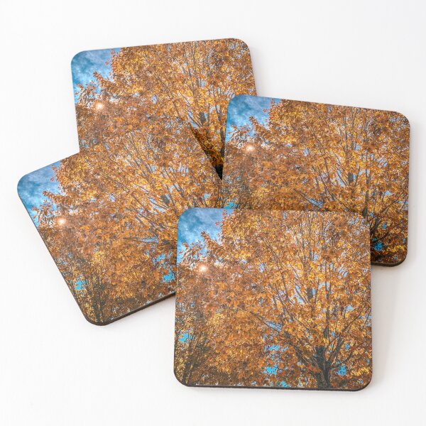 Item preview, Fall in the Trees designed and sold by Craig Kauzmann.