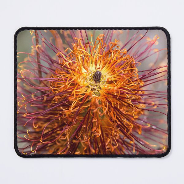Item preview, Purple Seed Bottlebrush 3 designed and sold by Esther Frieda.