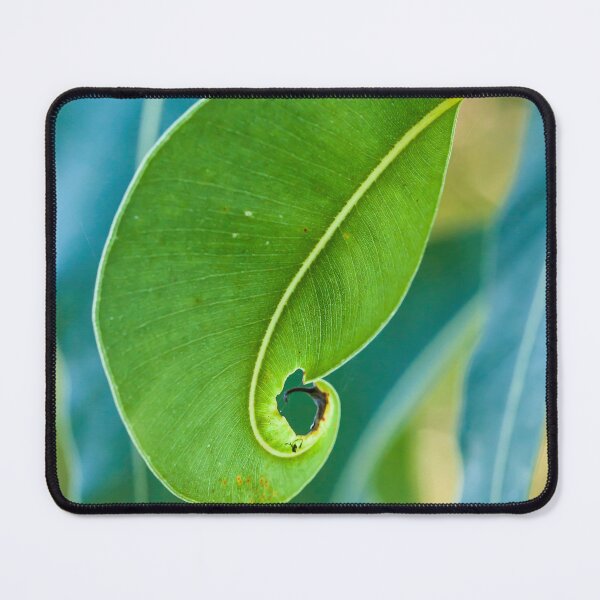 Item preview, Gum Leaf Curl designed and sold by Esther Frieda.