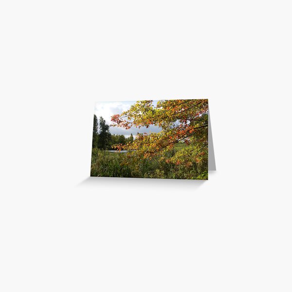 Autumn is coming Greeting Card