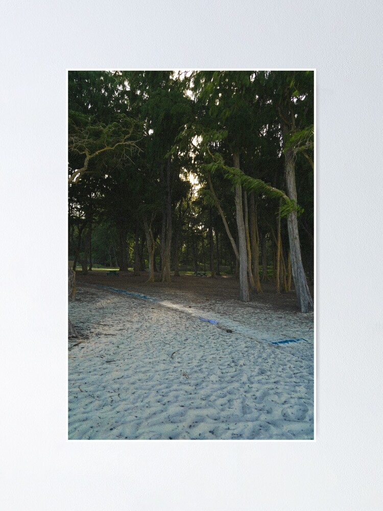 Tropical Forest At Sandy Beach North Shore Oahu Hawaii Poster