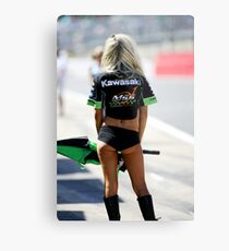 Kawasaki Girl Metal Print