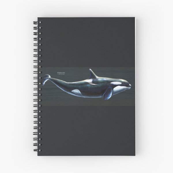 Item preview, Orcinus Orca Restored designed and sold by Thedragonofdoom.