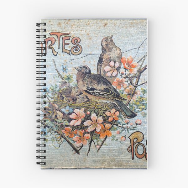 Item preview, Antique Bird Postcard designed and sold by Monsieur Poisson & Mademoiselle Chat.
