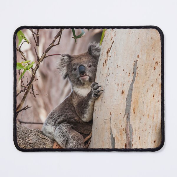 Item preview, Koala designed and sold by Esther Frieda.