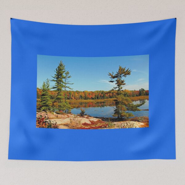 Item preview, Cranberry Bog Trail Killarney Provincial Park designed and sold by Debbie Oppermann.