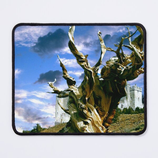 Item preview, camelot designed and sold by agis261.