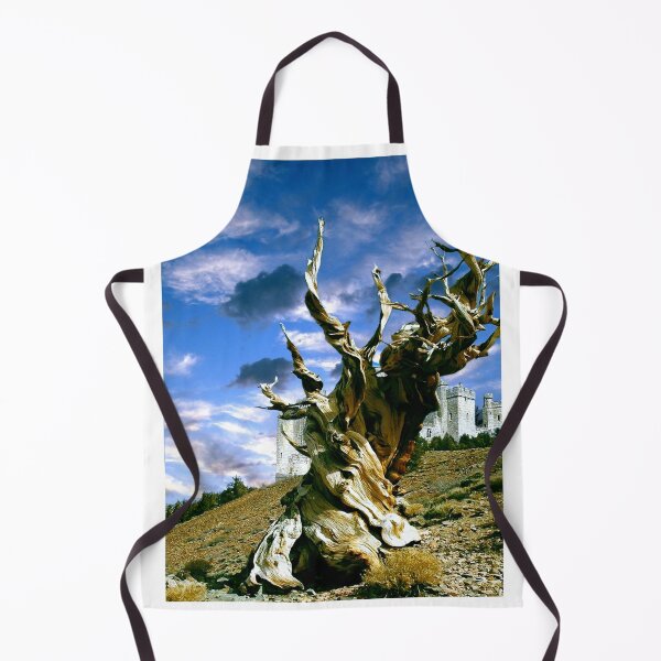Item preview, camelot designed and sold by agis261.