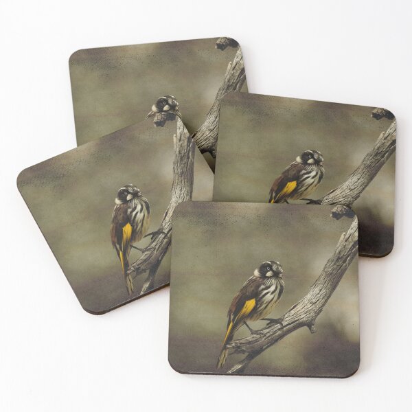 Item preview, New Holland Honeyeater Bird Art No 1 designed and sold by SEADOGPRINTS.