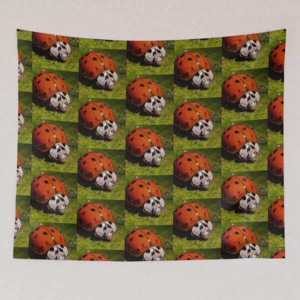 Item preview, Volar lejos de casa... designed and sold by Christopher Osmond.