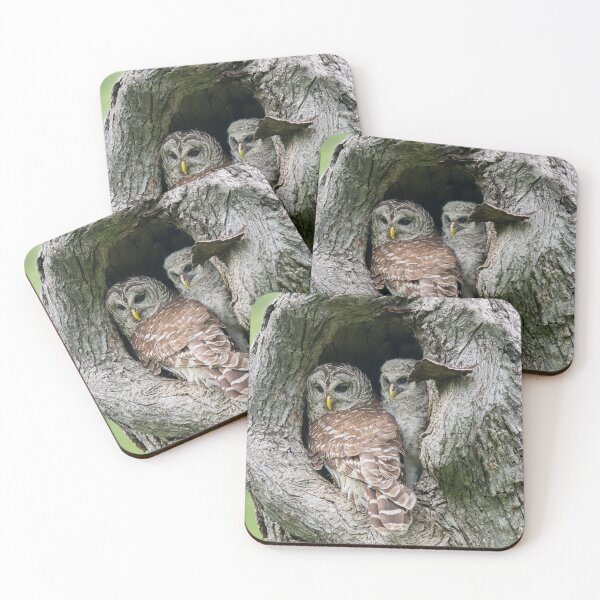 Item preview, Secure and Cozy designed and sold by Puttaswamy Ravishankar.