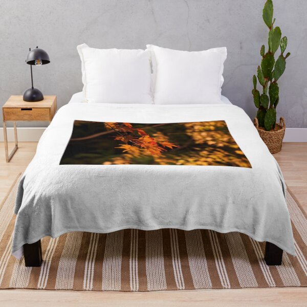 Item preview, Japanese maple(night shot) designed and sold by nokkcca.