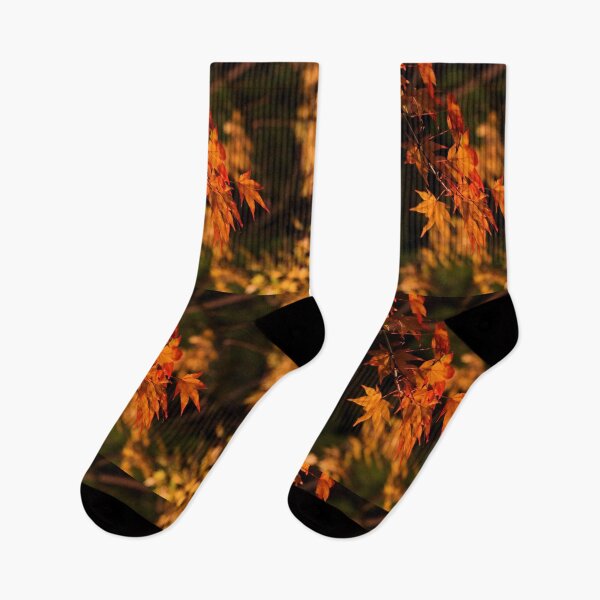 Item preview, Japanese maple(night shot) designed and sold by nokkcca.