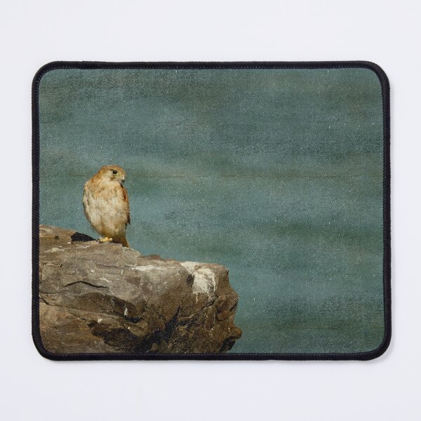 Item preview, Nankeen Kestrel Bird Art No 1 designed and sold by SEADOGPRINTS.
