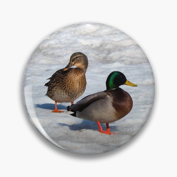 Item preview, Two Mallard Ducks Standing On The Snow designed and sold by BackyardBirder.