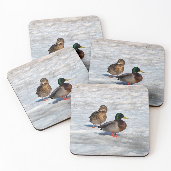 Item preview, Two Mallard Ducks Standing On The Snow designed and sold by BackyardBirder.