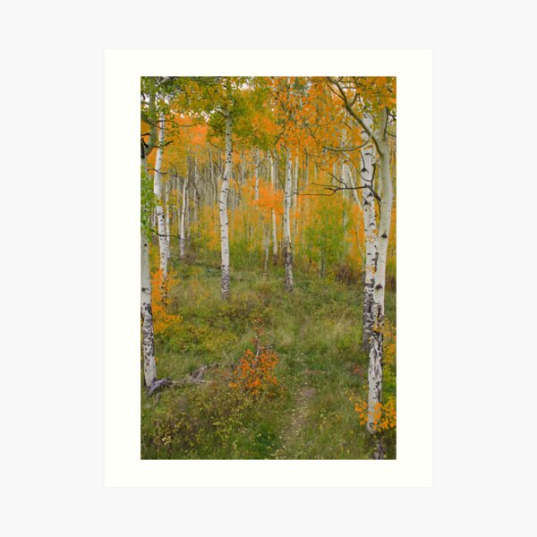 Item preview, Fall in Silverthorne designed and sold by Craig Forhan.